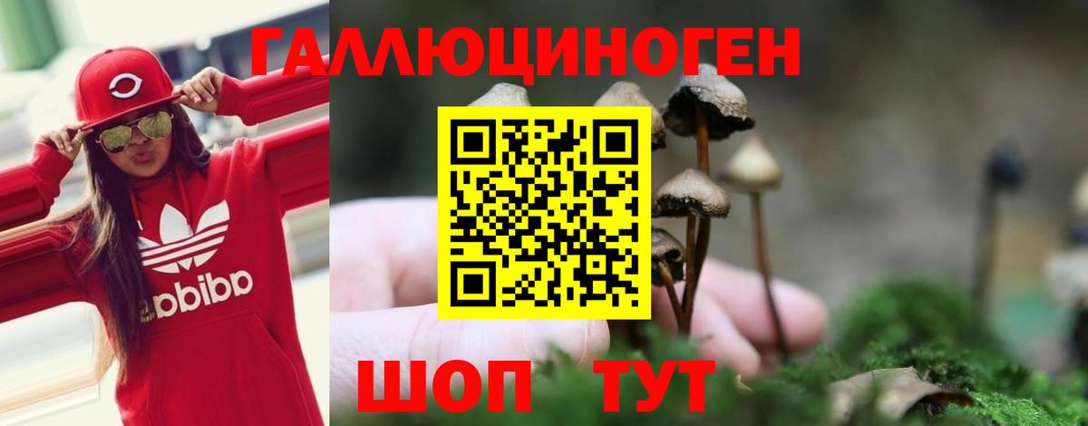 Обь  Галлюциногенные грибы Psilocybine cubensis  Вход с VPN  Псилоцибиновые грибы Psilocybe 